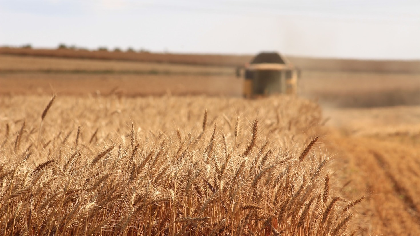 Cansado de Perder Dinheiro na Lavoura? Descubra Como a Consultoria Agronômica da Agroplan-UFV Pode Reverter a Baixa Produtividade