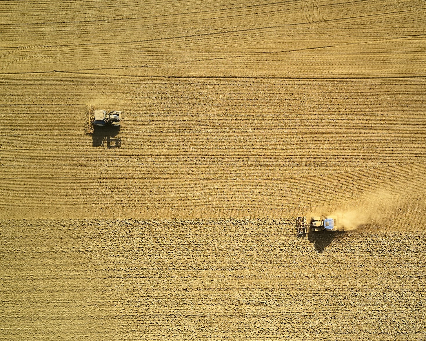 Soja e Milho: Como Maximizar a Rentabilidade na Principal Dobradinha do Agro