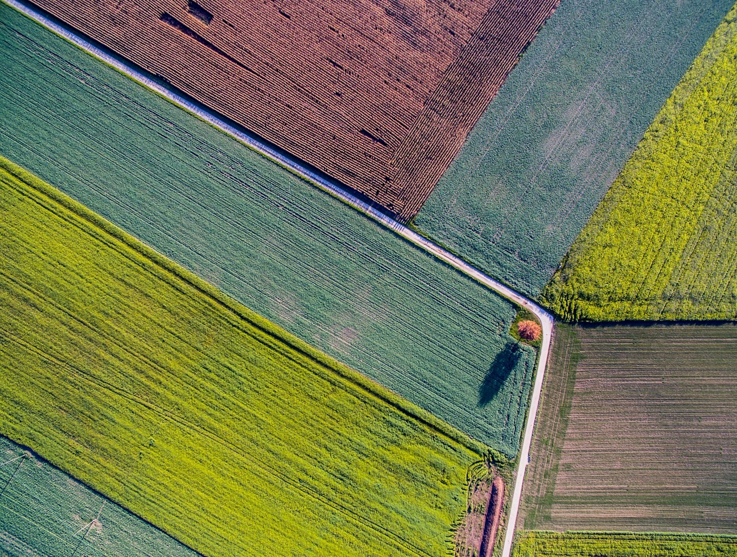 Sucessão Familiar no Campo: Como a Profissionalização Garante o Futuro da Fazenda