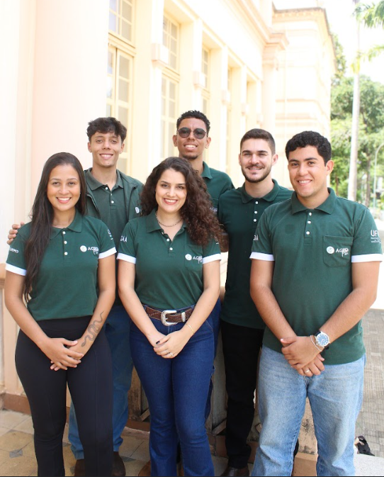 Consultores
